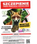 Szczepienie lisów przeciwko wściekliźnie